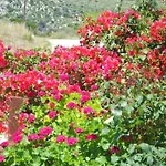 Livadaki Village Hotel Skala (Kefalonia)