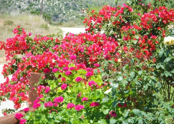 Livadaki Village Hotel Skala (Kefalonia)