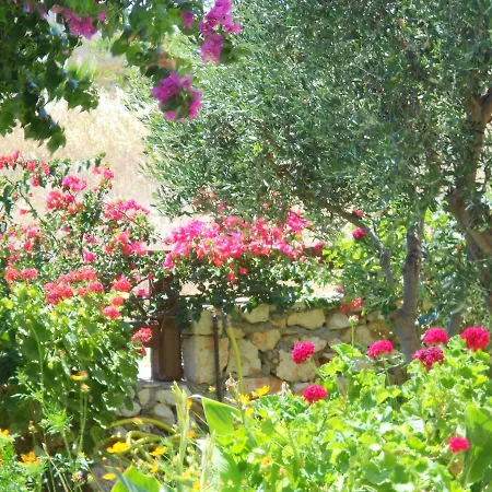 Hotel Livadaki Village Skala (Kefalonia)