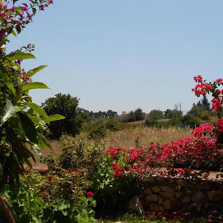 Livadaki Village 3* Skala (Kefalonia)