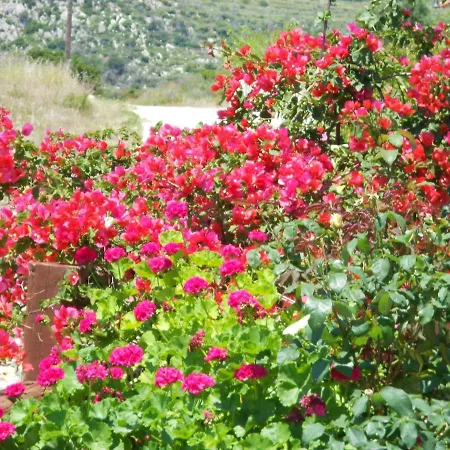 Livadaki Village Hotell Skala (Kefalonia)