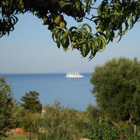 Livadaki Village Hotell Skala (Kefalonia)