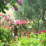 Hotel Livadaki Village Skala (Kefalonia)